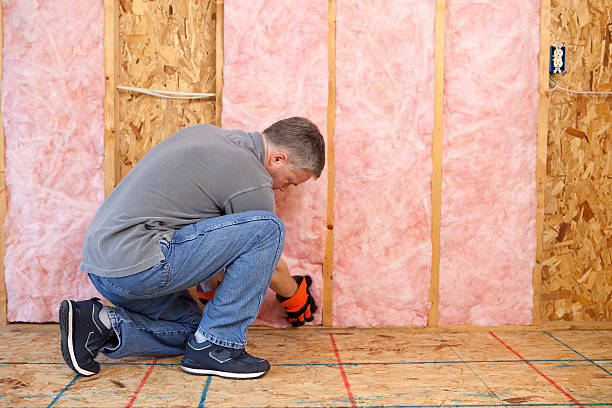 Best Spray Foam Insulation in Dimmitt, TX