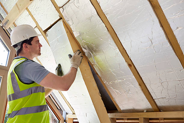 Best Cellulose Insulation in Dimmitt, TX