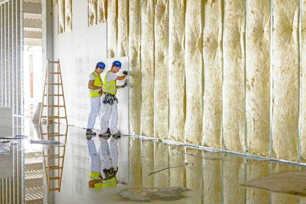 Best Insulation Maintenance and Repair in Dimmitt, TX